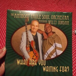 Vinyl Record - Green